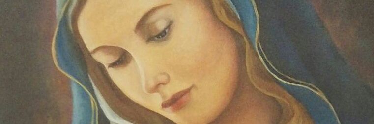 joaomaluco2015's profile banner image