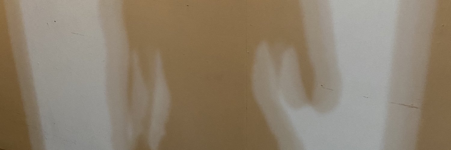 graciagaray's profile banner image