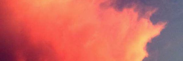izzy_bella11's profile banner image