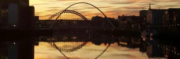 Geordie Raider Mark ☠ banner