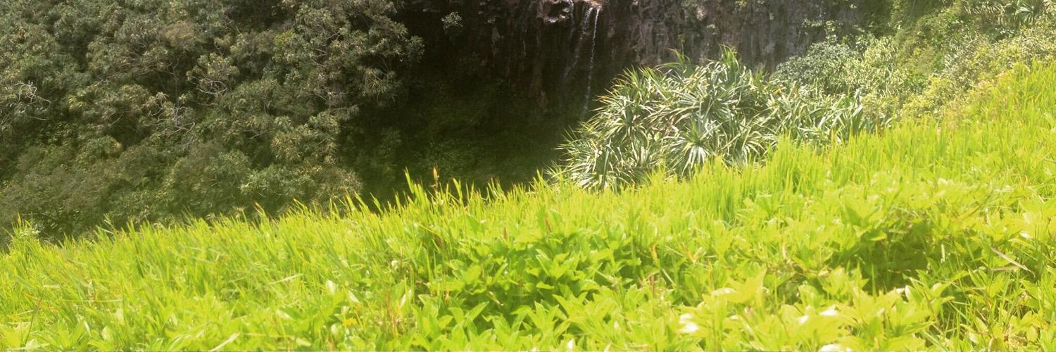 assistheather's profile banner image