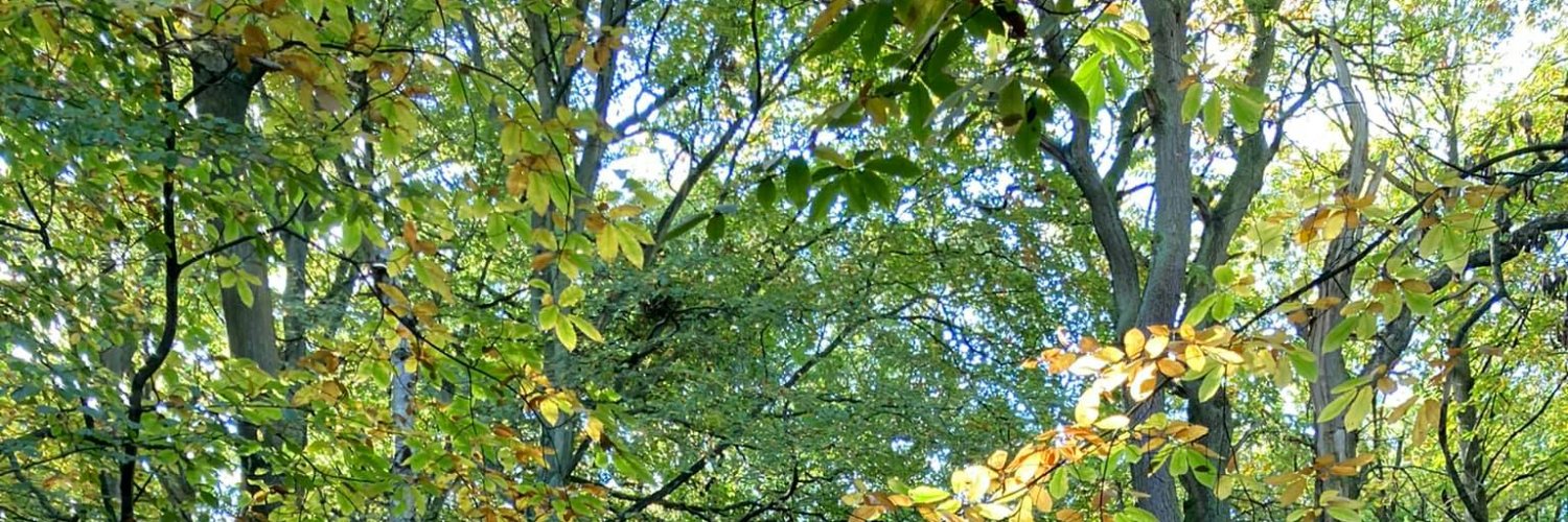 Fiona Copeland BEM banner