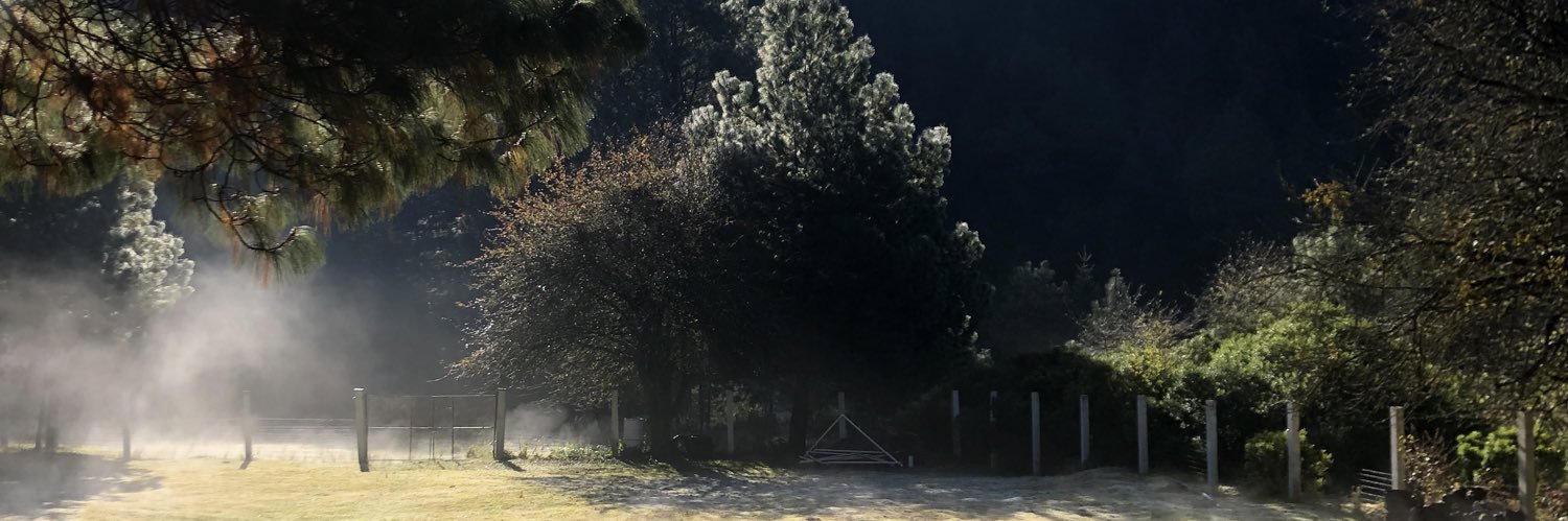 Oscar Mota's banner
