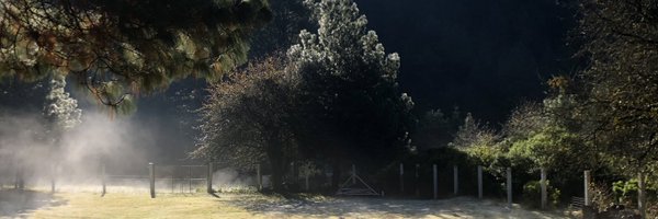 OzkrWeed Profile Banner