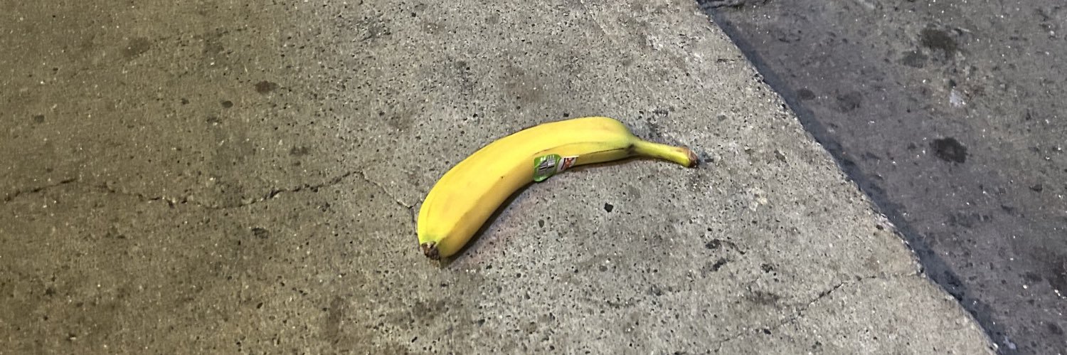 subwaycritter's profile banner image