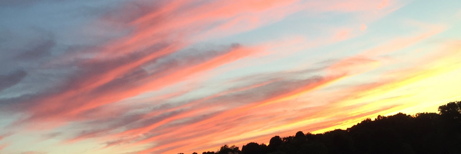 bhammond_8's profile banner image