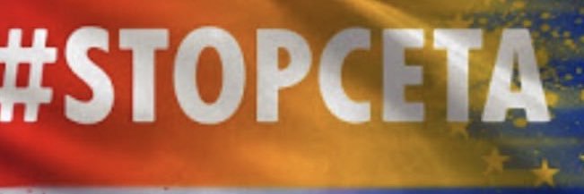 CairdeLiz's profile banner image