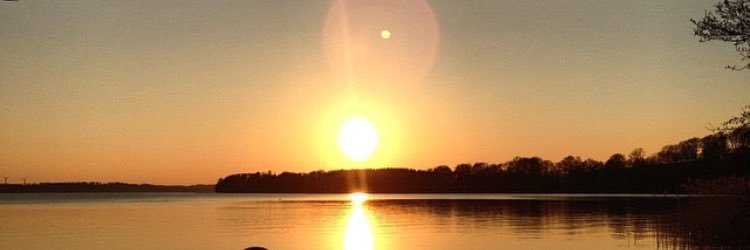Carl_Dreyer's profile banner image