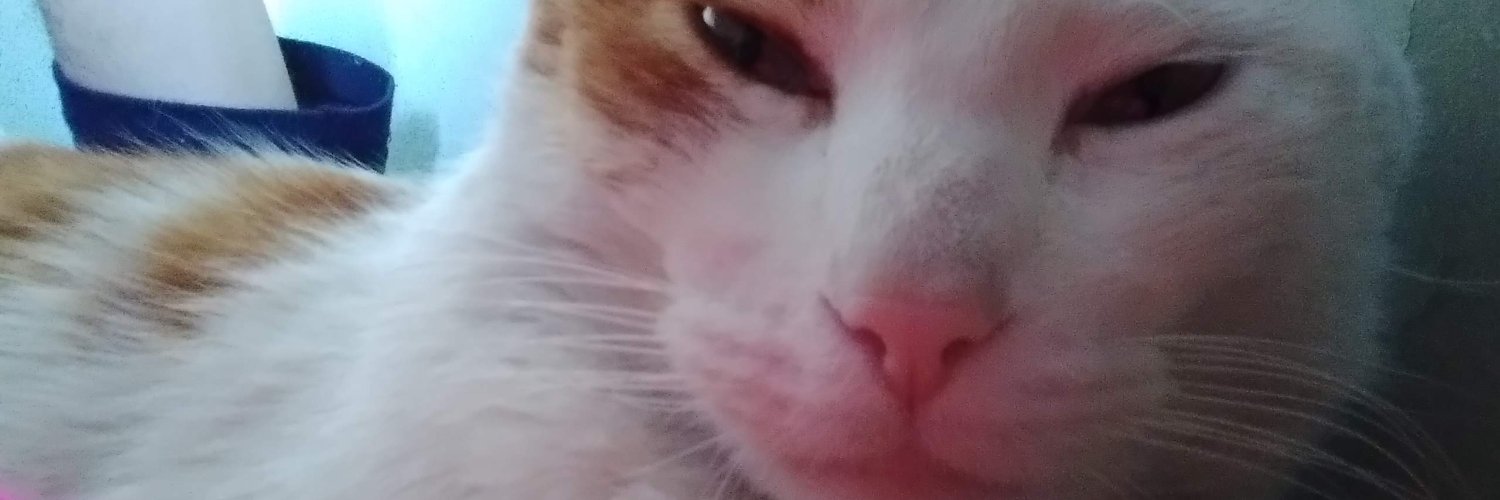 insfrnm's profile banner image