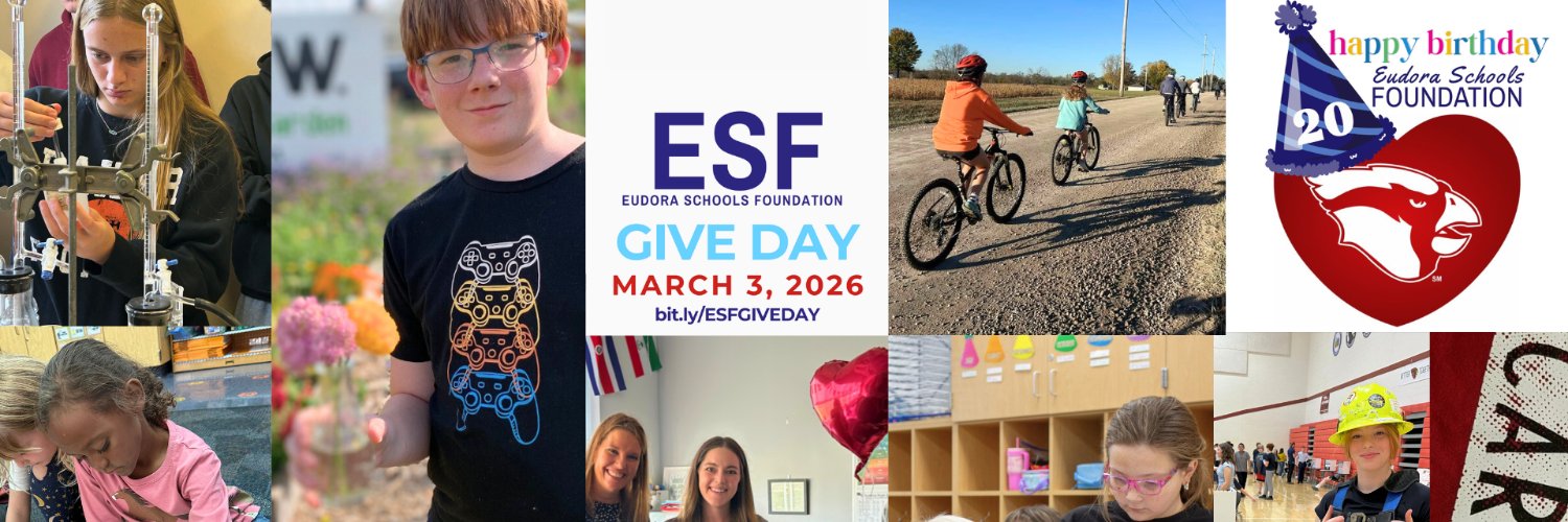 Eudora Schools Foundation banner