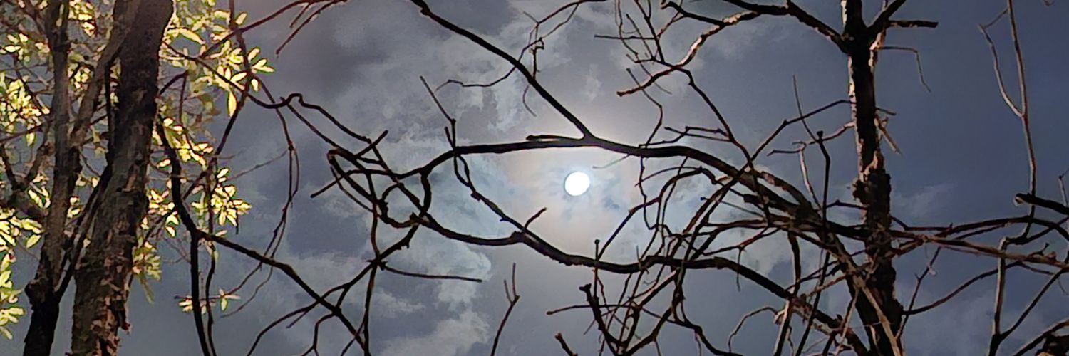 Fakesan01's profile banner image
