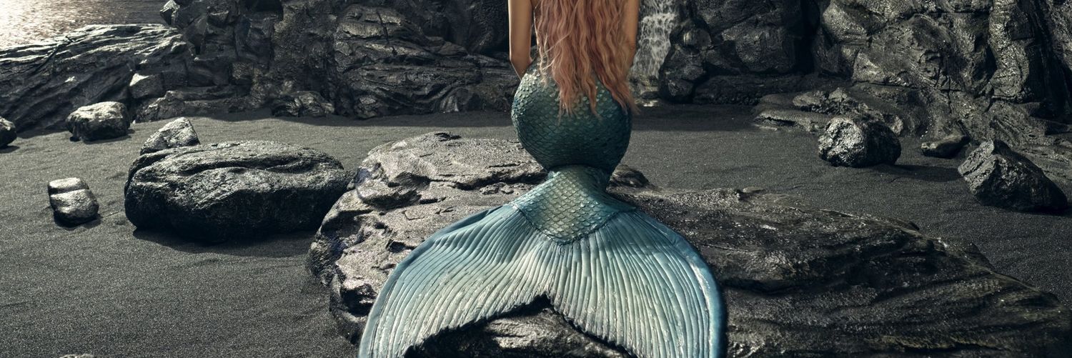 luiizadant's profile banner image