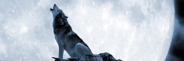 4be7257fa51549a's profile banner image