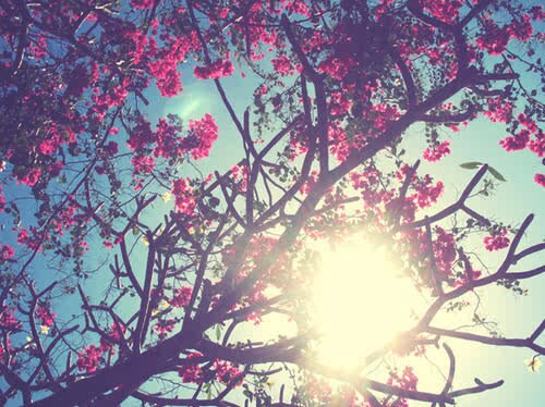 _muchoo_'s profile banner image