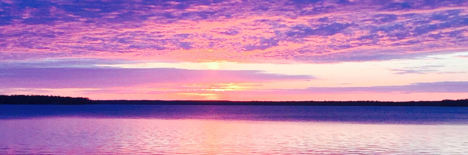 Stymatrain's profile banner image