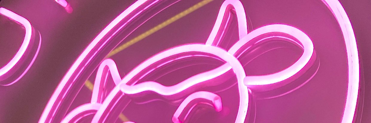reinemaegan's profile banner image