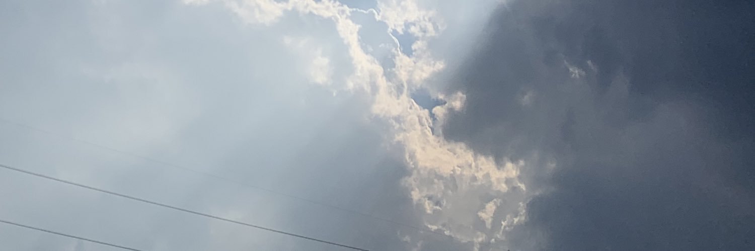 brvndh's profile banner image