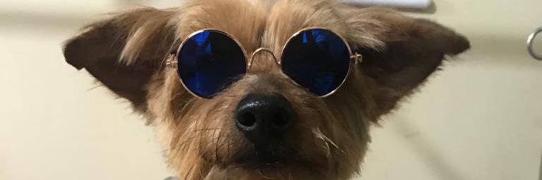 _chriis99's profile banner image