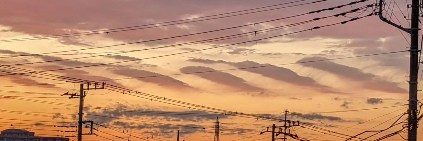 伽羅(≡^.^≡)𝐗にゃ banner