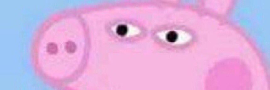thomasfiona16's profile banner image