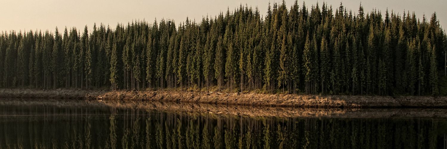 fullmoon1564's profile banner image
