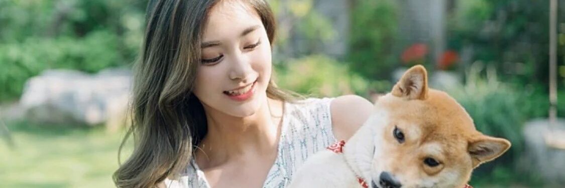 Juwitwc's profile banner image