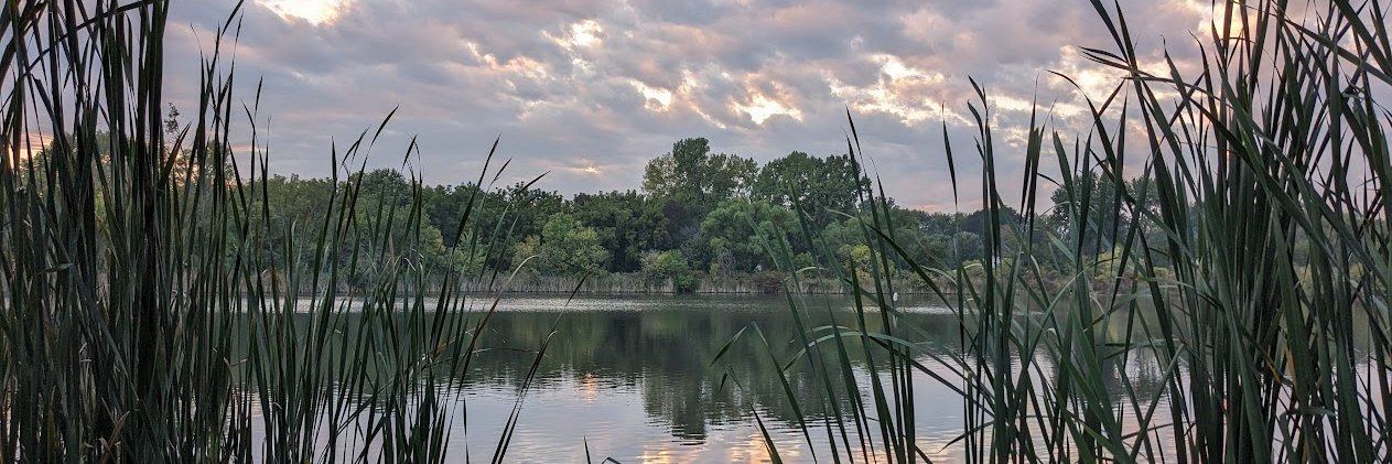 Nicholas Rupp banner