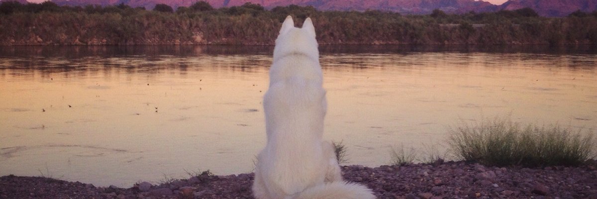 Szeeeze's profile banner image