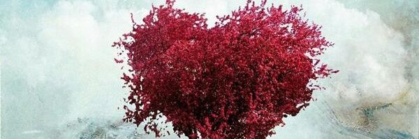 TrueLoveShines1's profile banner image