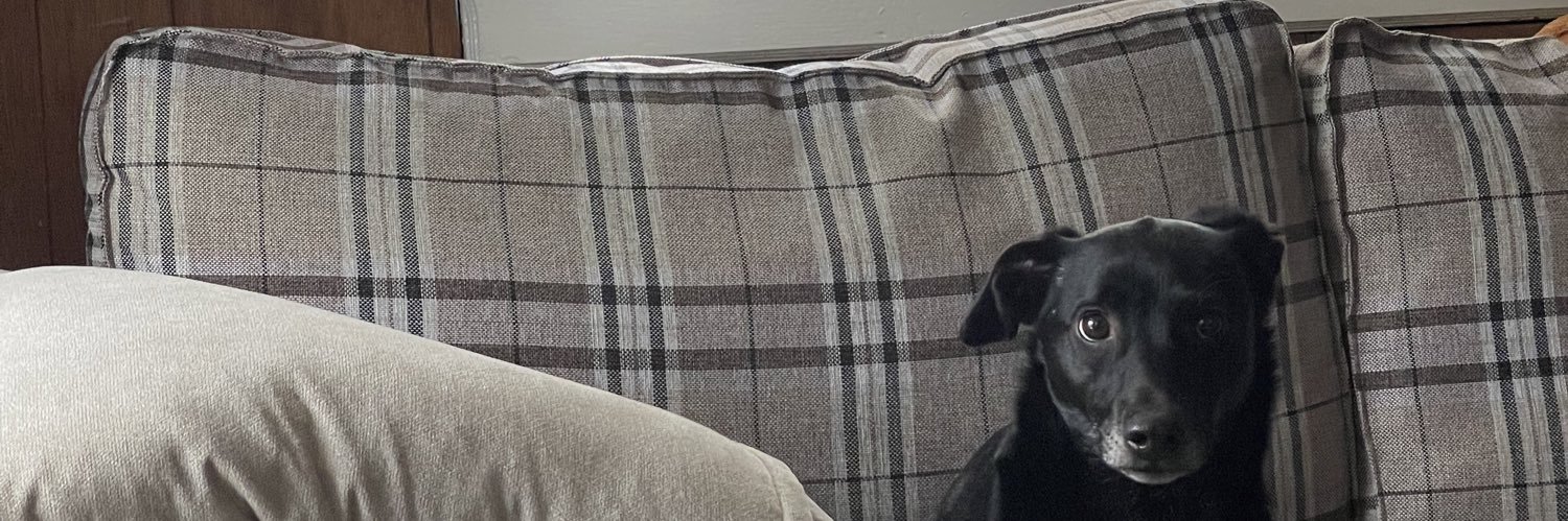 badm0rg's profile banner image
