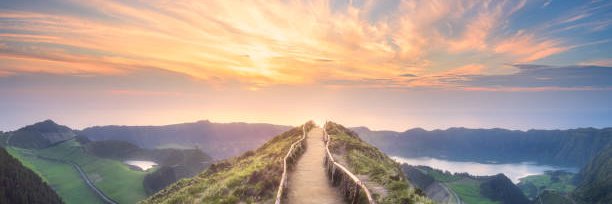 Fane Cinavilakeba banner