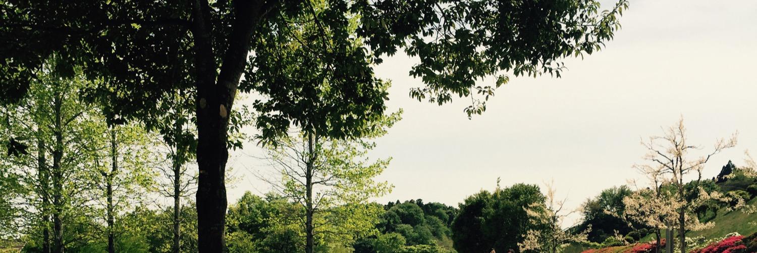 _shipo__'s profile banner image
