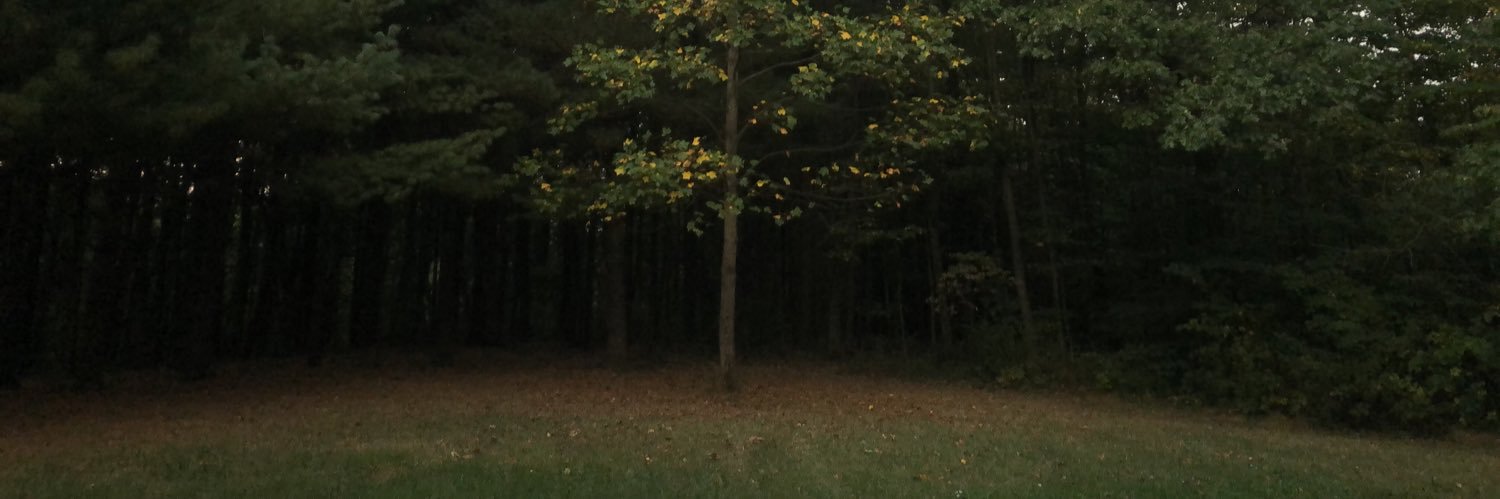 tadfry's profile banner image