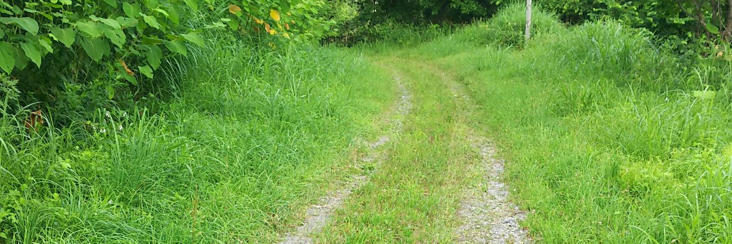 特急北海🌻 banner