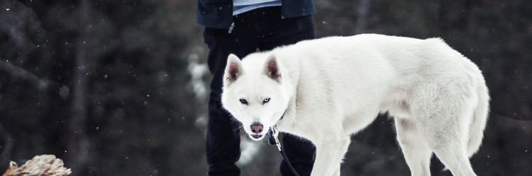 DariooooA's profile banner image