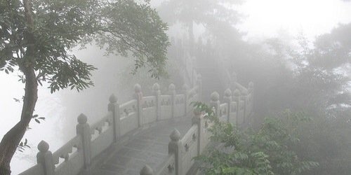 l_aura_99's profile banner image