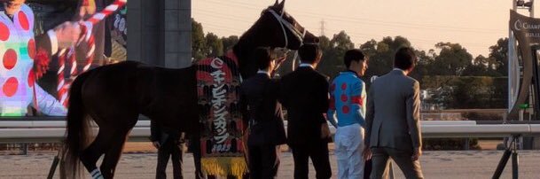 bellmiracle＠キズナはDamascus banner