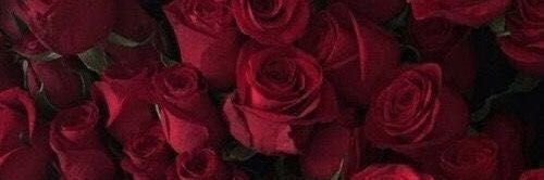 a_cital's profile banner image