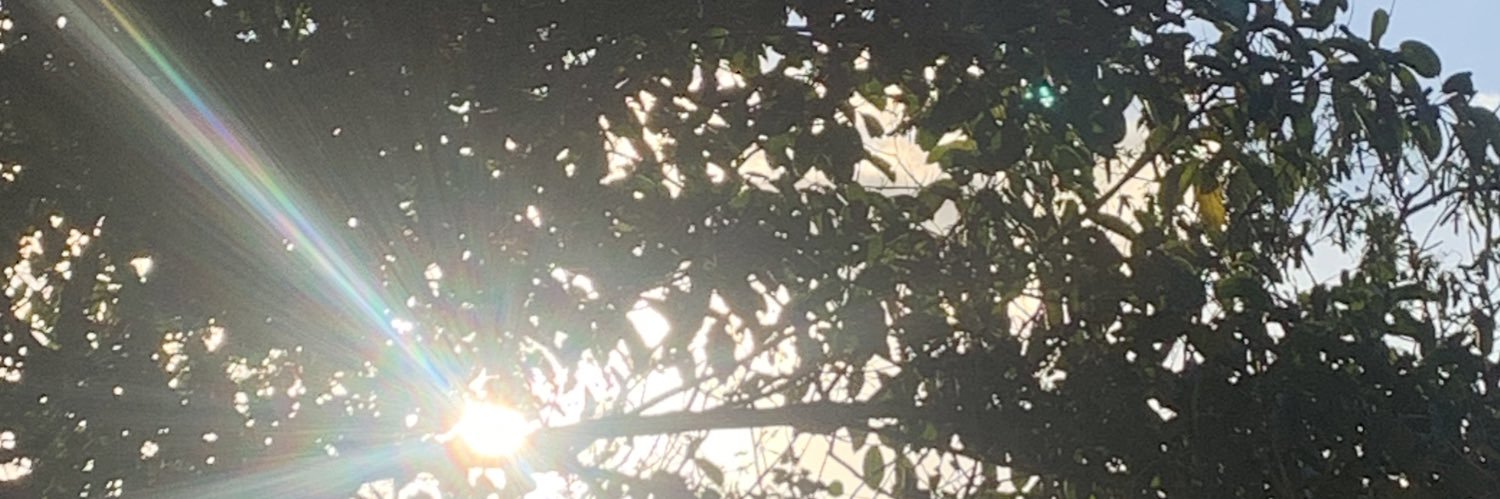 freesoouull's profile banner image