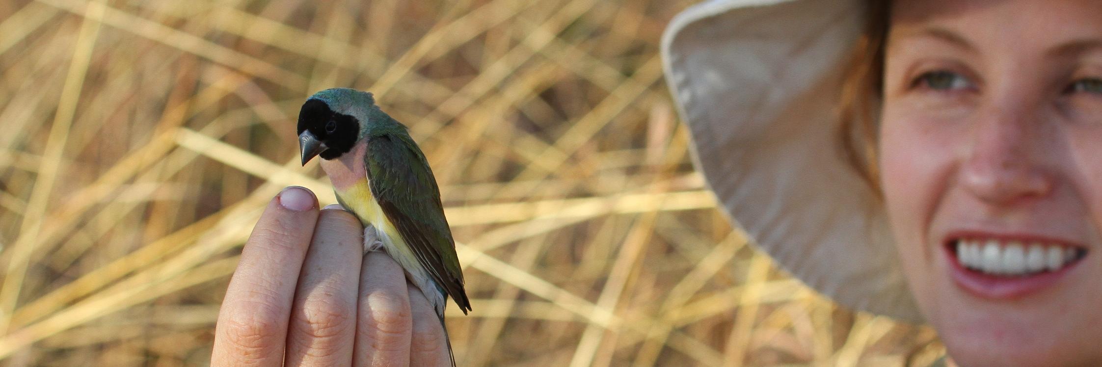Aus Bird Study Assoc banner