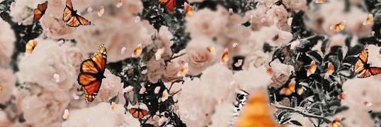 Jen_Dasilvaa's profile banner image