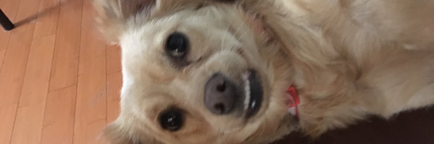 AlexisAyap's profile banner image