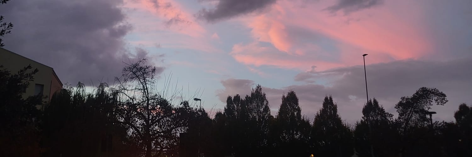 sangewya's profile banner image
