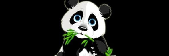mashru_mitul's profile banner image