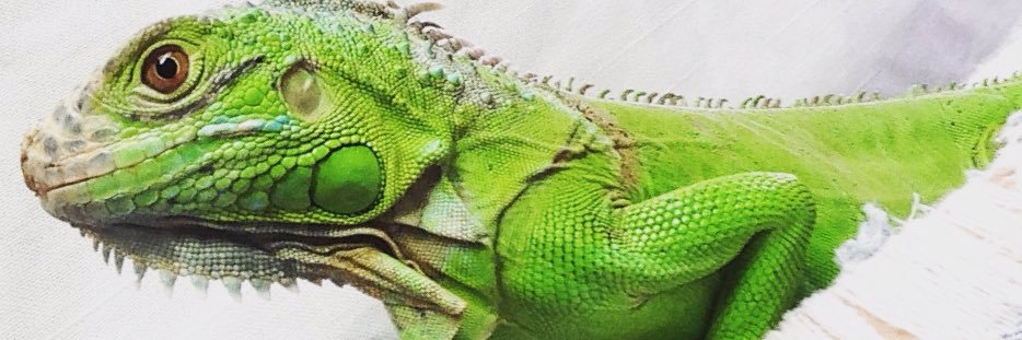 michtgasca's profile banner image