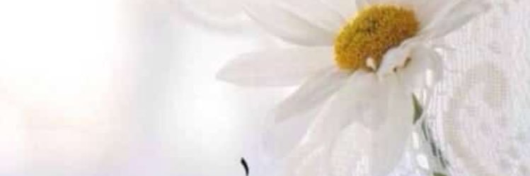 mza901's profile banner image