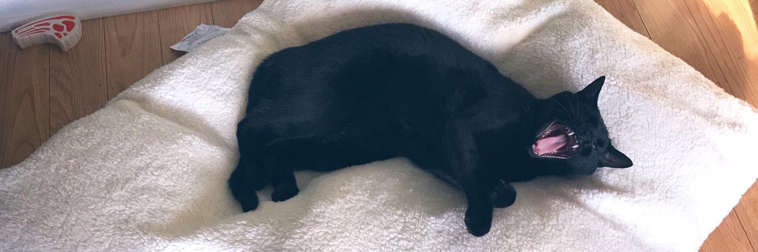 Eileen Sperry banner