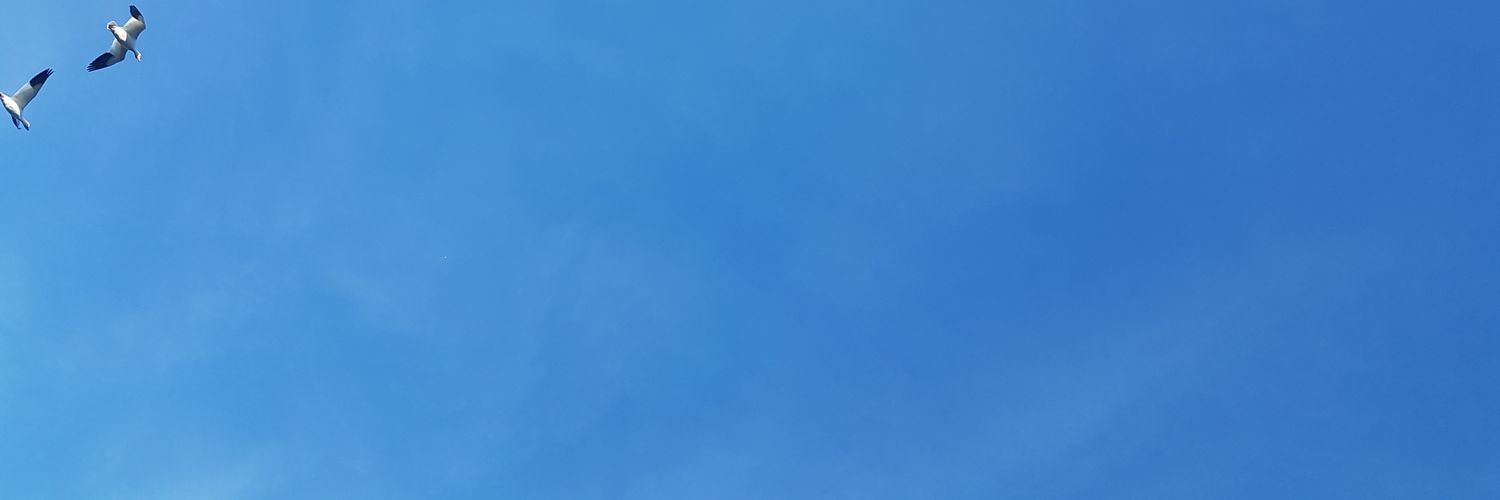 Kasari Govender's banner