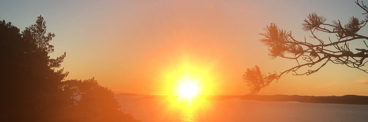 MariaTerzan's profile banner image
