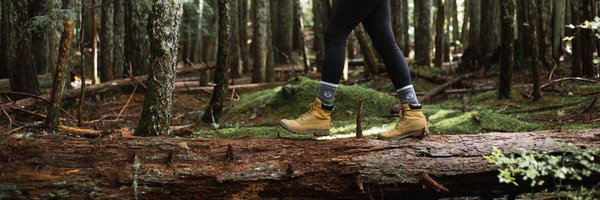 _CloudLine Profile Banner